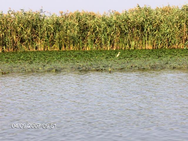 delta rosu 2007 - picture-073.jpg